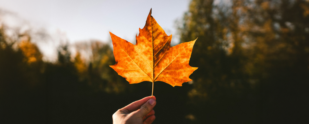 The Alert: October – December 2025