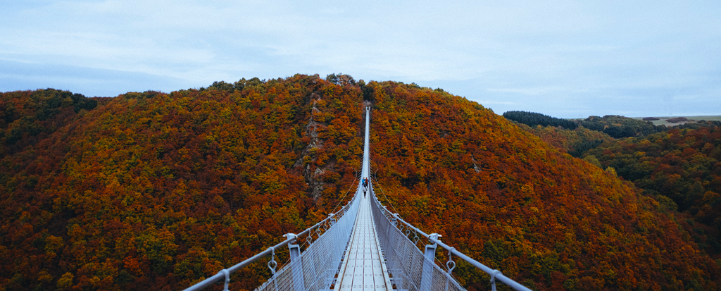 Parasec Alert - October 2019
